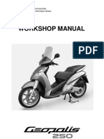 Peugeot Geopolis 250 (en)