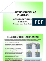 La Nutricic3b3n en Las Plantas1