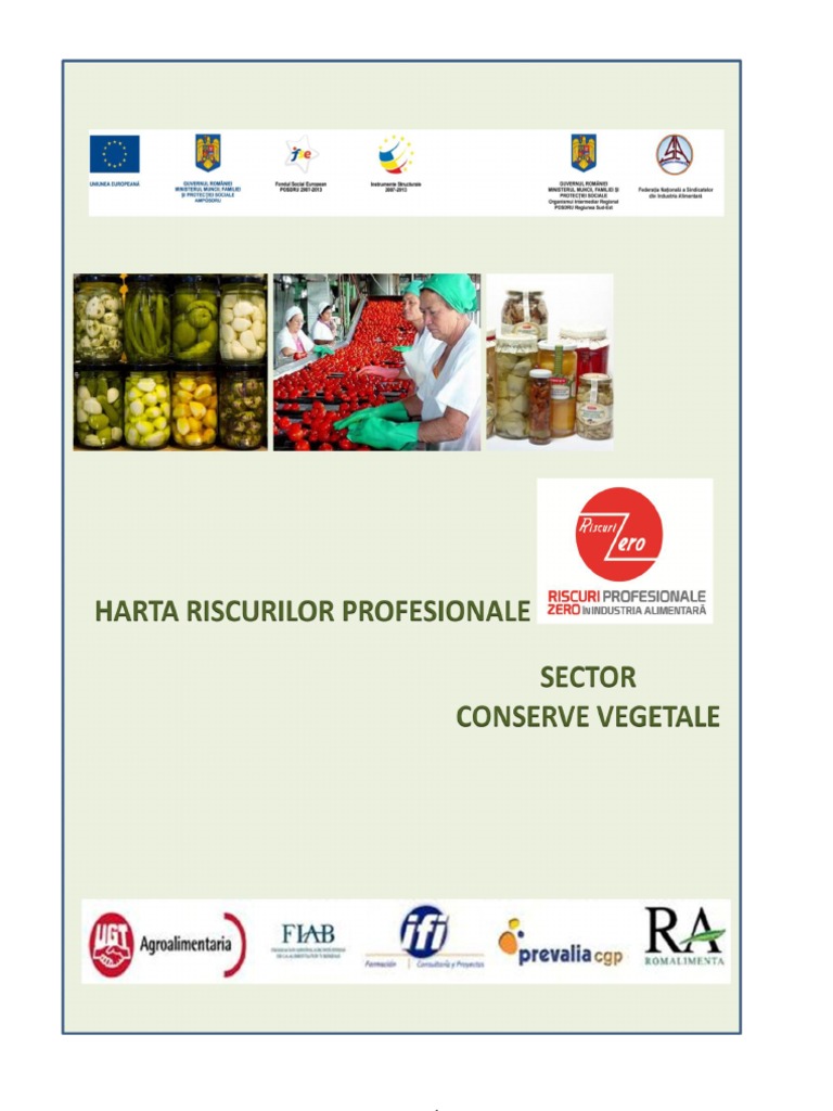 Harta Riscuri Conserve | PDF