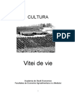 Cultura Vitei de Vie