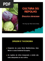 Repolho a Cultura - Almanaque Do Campo[1]