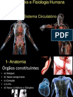 Sistema circulatório: sangue, vasos sanguíneos e linfáticos