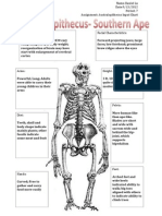 Australopithecus Input Chart