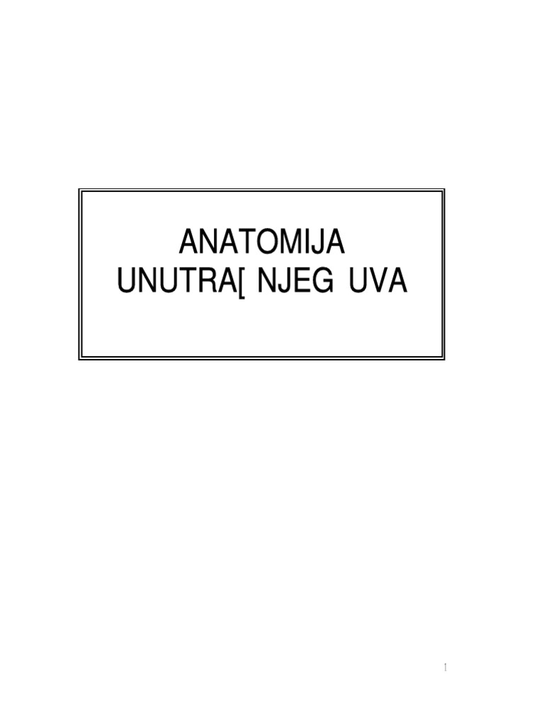 Anatomija Unutarnjeg Uha | PDF