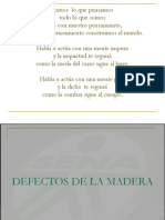 2. Defectos de La Madera 2007