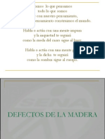 Defectos de La Madera 2007