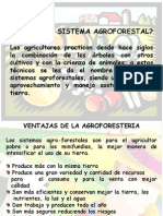 Generaledades Sistema Agroforestal