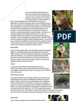 Animales en Peligro de Extincion