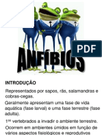 ANFIBIOS