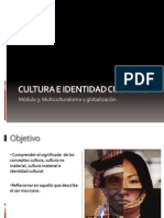 Cultura e Identidad CulturalL
