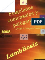 9_flagelados_comensales_y_patogenos (1)