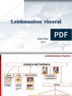 01_Leishmaniose Visceral - Normas e Condutas[1]