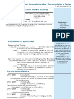 Curriculum Vitae Modelo4 David