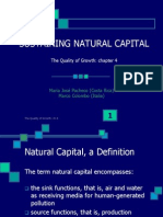 Sustaining Natural Capital: The Quality of Growth: Chapter 4