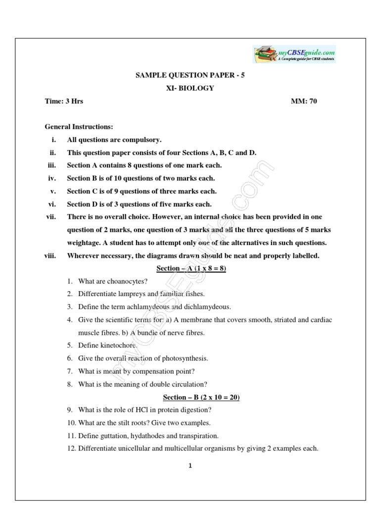 Photosynthesis essay 500 words picture