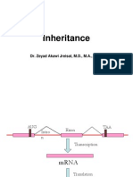 Inheritance: Dr. Zeyad Akawi Jreisat, M.D., M.A., PH.D