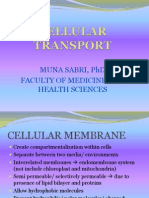 Cellular Transport