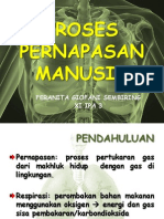 Sistem Pernapasan Manusia Biologi