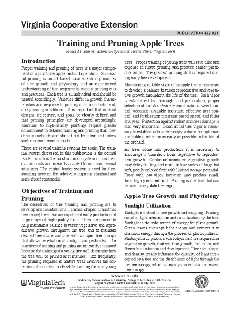 Pruning Techniques for Apple Trees | PDF | Pruning | Root