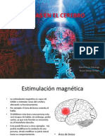 Dilemas Cerebro