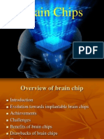 Brain Chip Overview and Applications