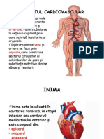 Aparatul Cardiovascular Inima