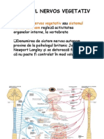 Sistemul Nervos Vegetativ