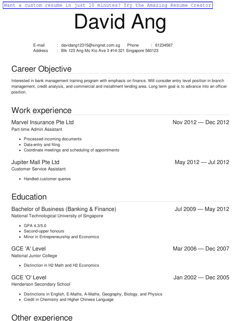 buy resume for writing singapore