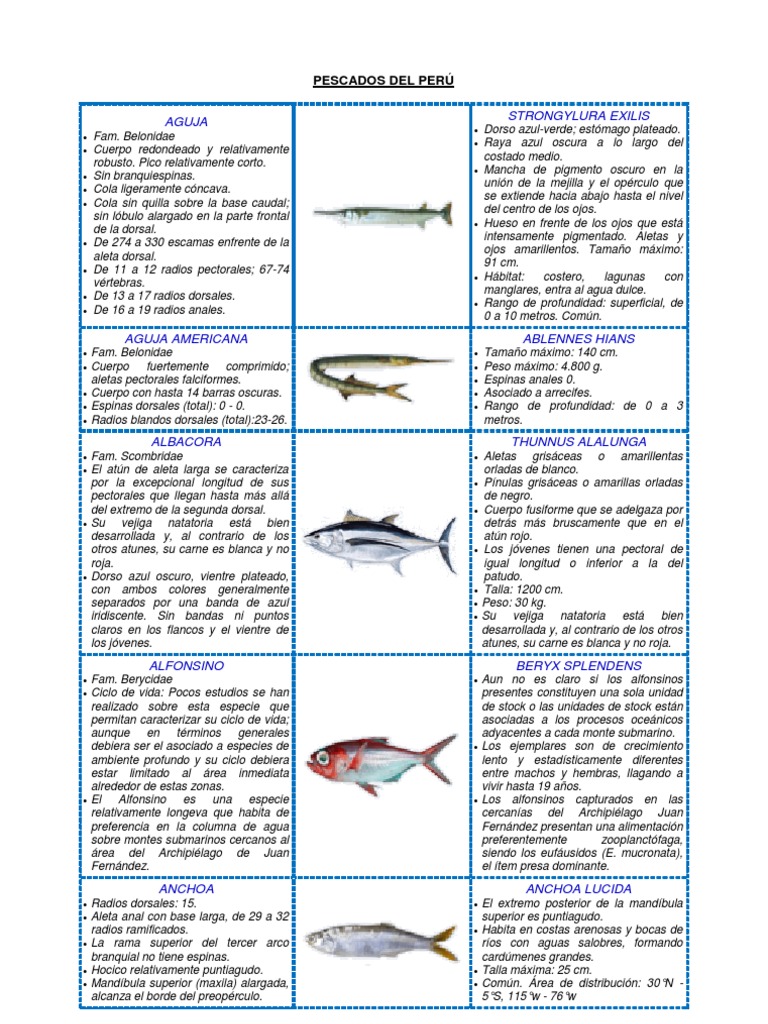Pescados Del Perú | PDF | Atún | Pescado