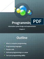 Programming: Information System Design and Implementation