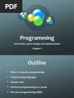 Programming: Information System Design and Implementation