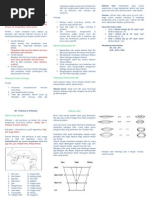 Download BMM 3108 Fonetik dan Fonologi by AmkaTox SN130178697 doc pdf