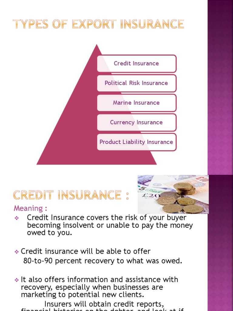Types of EXPORT Insurance PDF Credit (Finance) Insurance