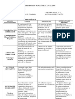 Informe Tecnico Pedagogico Nivel Primario