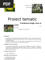 proiect tematic