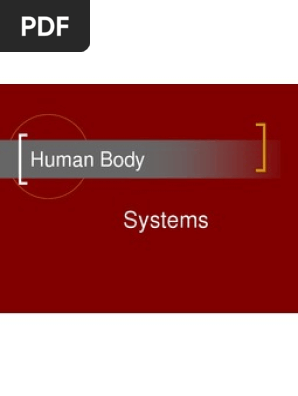 human body