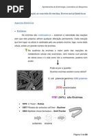 Resumos de Enzimologia