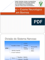 96059592-Arco-Reflexo-–-Exame-Neurologico-em-Bovinos