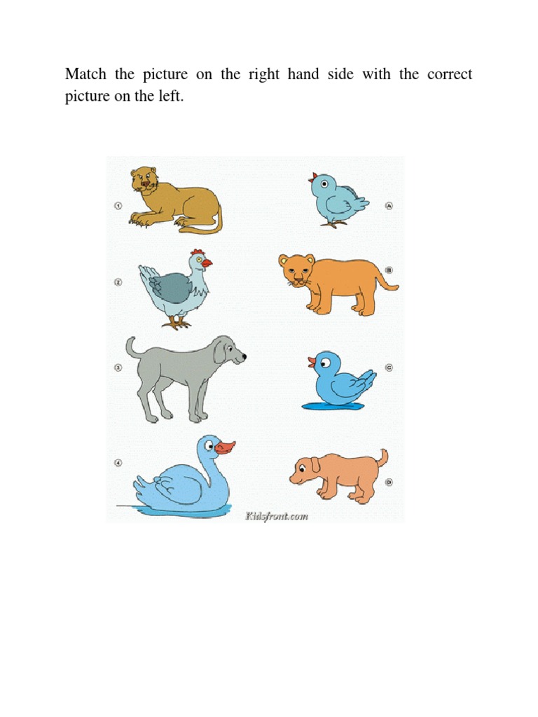 Picture Matching Activity Guide | PDF