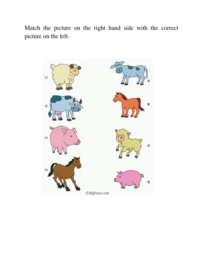 Picture Matching Activity Guide | PDF