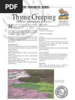 Thyme Creeping: Thymus Serphyllum Cultivars