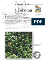 Mint Corsican: ERB Erbert Favourite Herbs