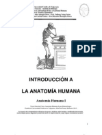 MODULO 1 Introduccion Al Estudio de La Anatomia Humana KINE 2013
