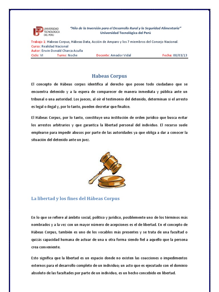 Habeas Corpus, Data y Accion de Amparo PDF | PDF | Habeas corpus | Juez