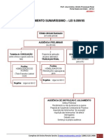 ProcPenalSumárioAudPrelimAIJ