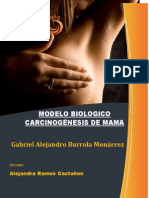 Download Modelo Biolgico carcinognesis en mama by Gabo Bu SN130296417 doc pdf