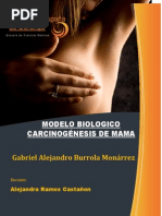 Download Modelo Biolgico carcinognesis en mama by Gabo Bu SN130296417 doc pdf