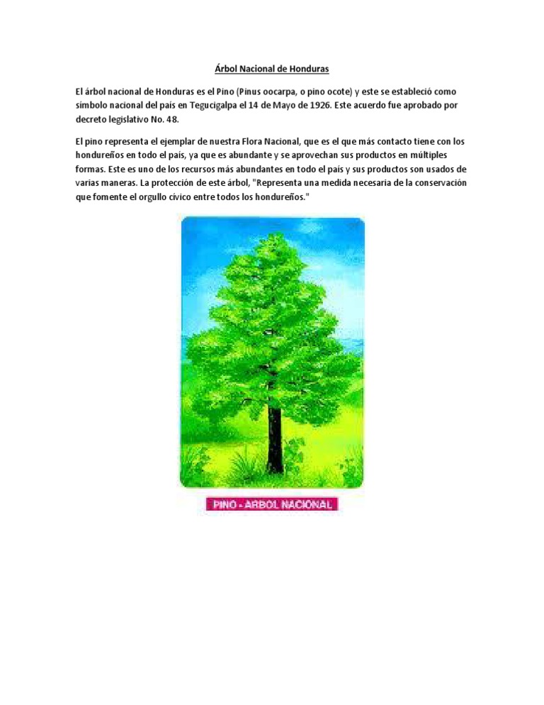 past simple vs past continuous exercises pdf for kids