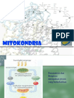 Mitokondria 2009