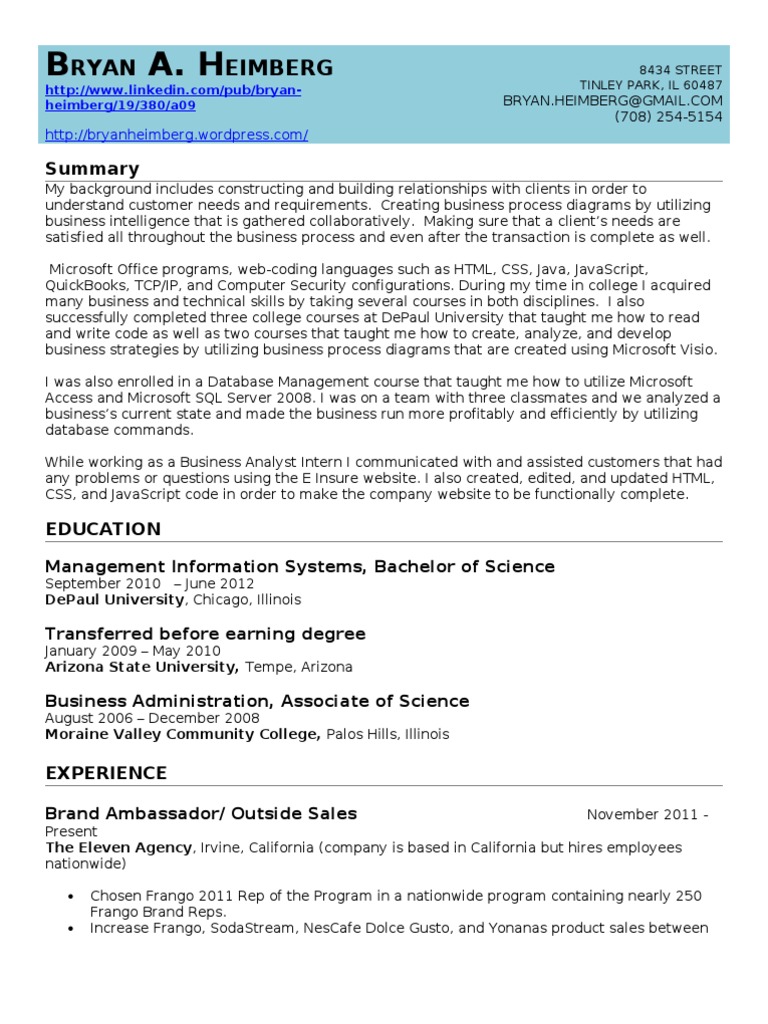 Bryan Heimberg: Business Analyst Profile | PDF | Career & Growth | Business